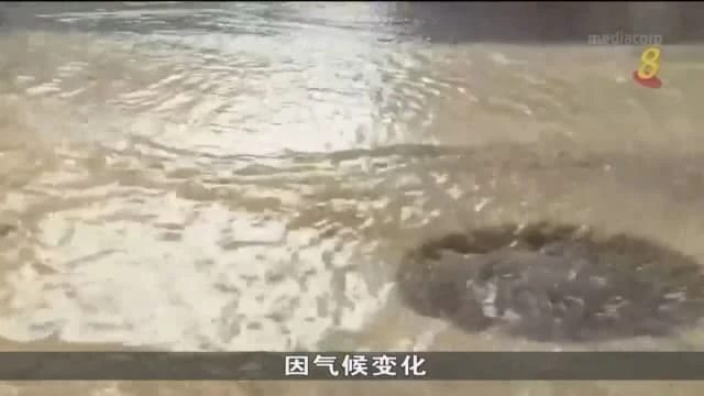 泰國曼谷多個地區發生淹水 未來幾個月情況或更嚴重