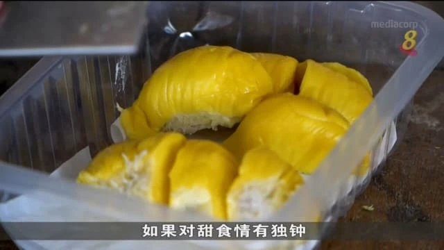 馬來西亞柔佛州榴槤之鄉 闊別兩年復辦榴槤團