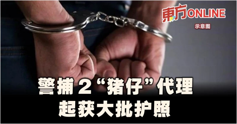 警捕2「豬仔」代理　起獲大批護照