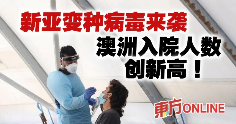 【新冠肺炎】新亞變種病毒來襲　澳洲入院人數創新高
