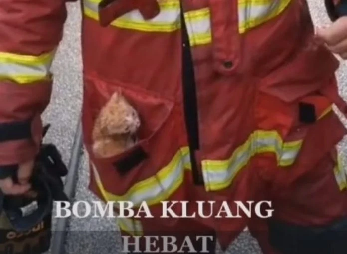 消拯員火場救貓　暖心舉動被網民稱讚