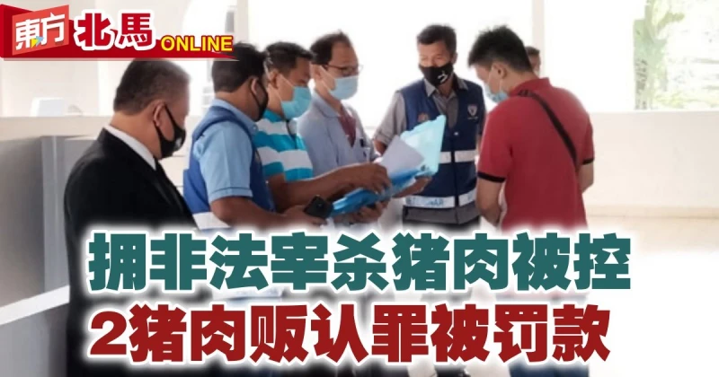 擁非法宰殺豬肉被控　2豬肉販認罪被罰款