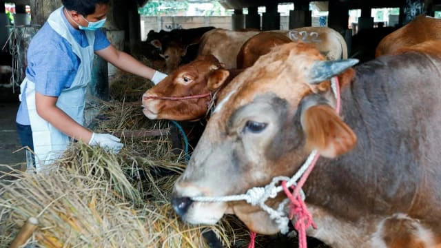 紐西蘭澳洲宣布收緊邊境生物安全管制措施