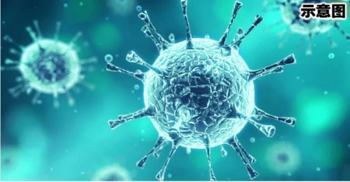 一老人院20老人相繼確診