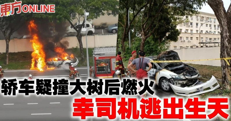 轎車疑撞大樹後燃火　幸司機逃出生天