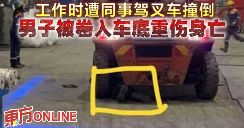 工作時遭同事駕叉車撞倒　男子被捲入車底重傷身亡