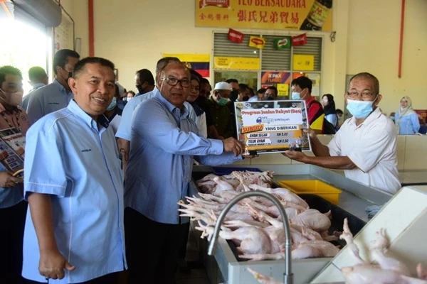 閩1.9萬B40群體 獲購雞肉雞蛋補貼