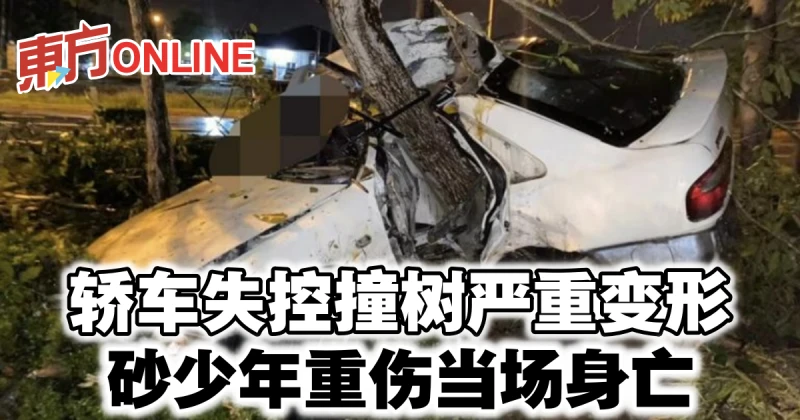 轎車失控撞樹嚴重變形　砂少年重傷當場身亡