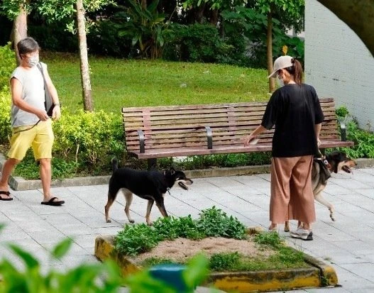 黃心穎約滿無線回復自由　首認與泥鯭戀情兼同居