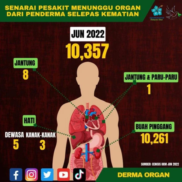 大馬等待器捐救命者為10357人 需要腎的人數占最多