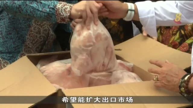 印尼探討擴大雞肉出口市場 雞農擔憂雞肉價大跌