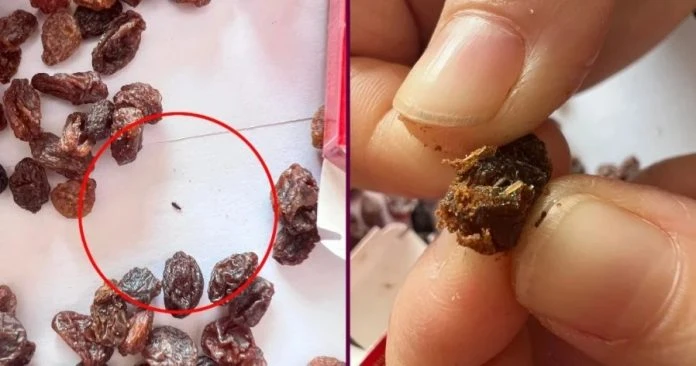 女子買葡萄乾給2歲兒吃 驚訝發現有小蟲爬來爬去!