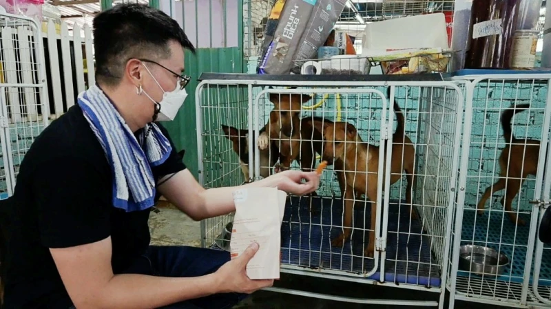 辛偉廉到流浪狗收容當義工感觸良多　翁書尉吁勿隨意碰海龜