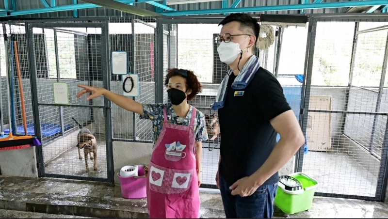辛偉廉到流浪狗收容當義工感觸良多　翁書尉吁勿隨意碰海龜