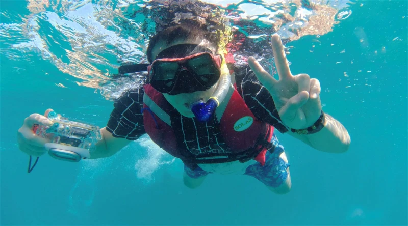 辛偉廉到流浪狗收容當義工感觸良多　翁書尉吁勿隨意碰海龜