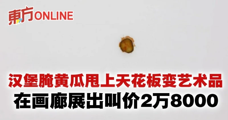漢堡腌黃瓜甩上天花板變藝術品　在畫廊展出叫價2萬8000