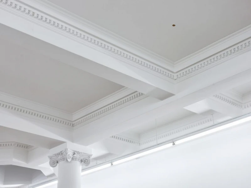 漢堡腌黃瓜甩上天花板變藝術品　在畫廊展出叫價2萬8000