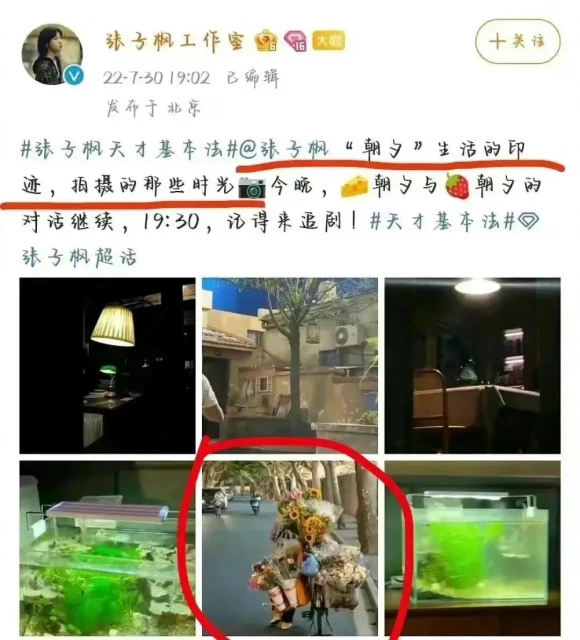 「國民妹妹」張子楓生活照盜圖被抓包　工作室急道歉：工作人員誤選圖片