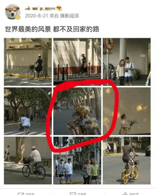 「國民妹妹」張子楓生活照盜圖被抓包　工作室急道歉：工作人員誤選圖片