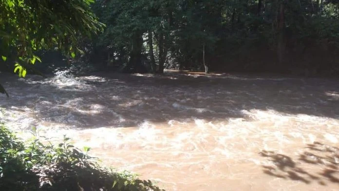 斗湖河源出現水漲情況   斗湖山公園緊急關閉