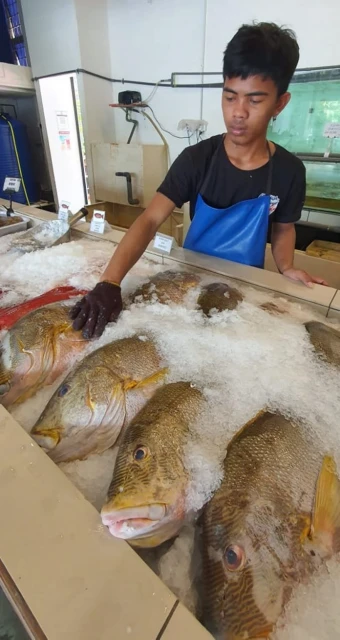 天氣影響 出海捕撈成本增  庇海鮮魚類價微漲