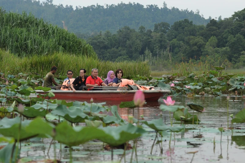 珍尼湖恐失保護區地位　大馬兩個月內需向UNESCO呈報告
