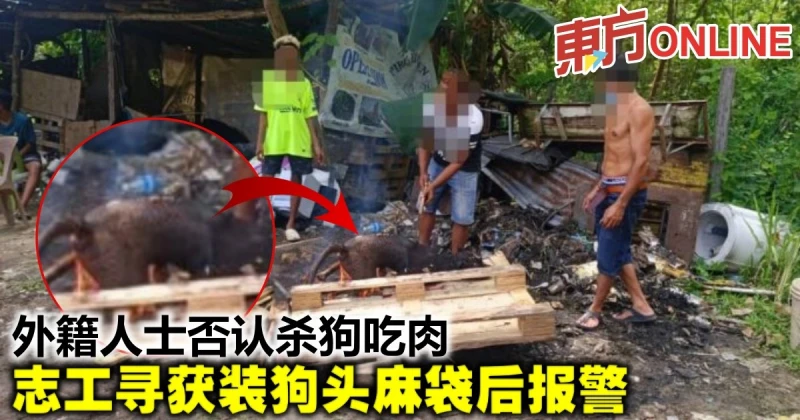 外籍人士否認殺狗吃肉　志工尋獲裝狗頭麻袋後報警