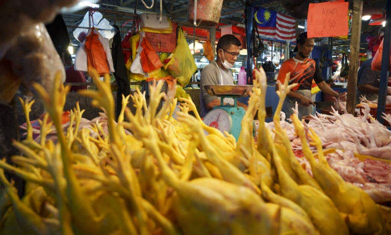 馬農長：雞肉產量過剩 &nbsp;可出口國外