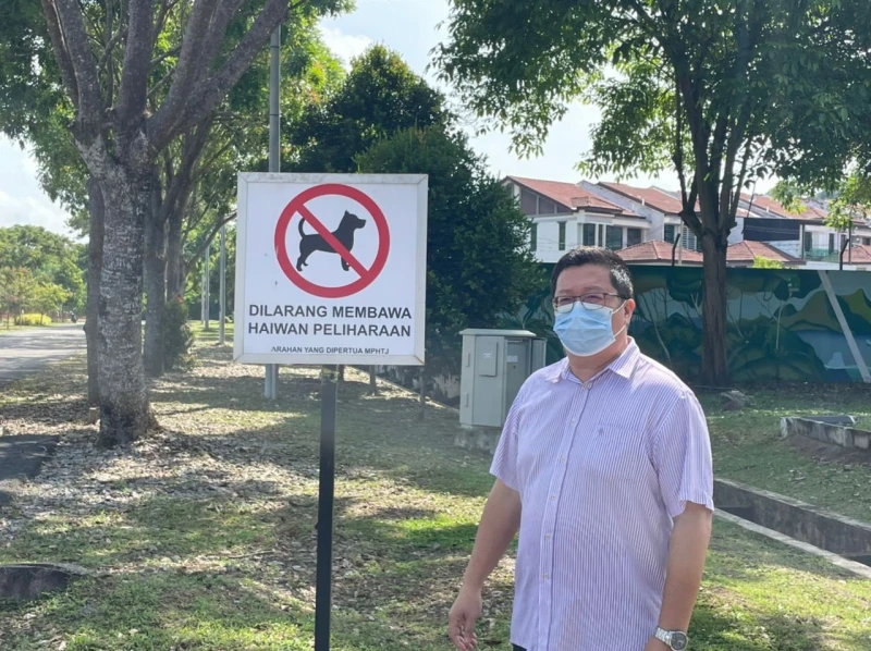 逾10隻流浪狗離奇死亡　鄧永森：不排除遭毒害