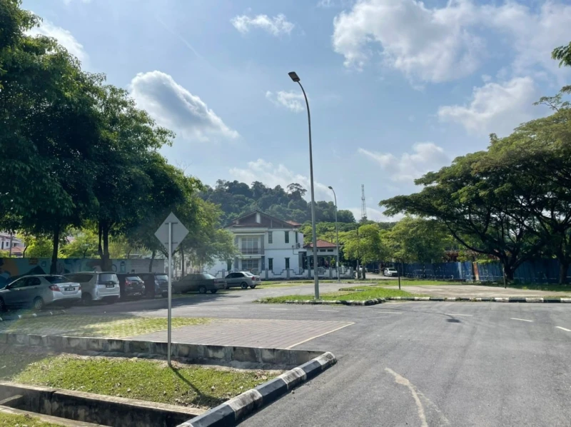 逾10隻流浪狗離奇死亡　鄧永森：不排除遭毒害