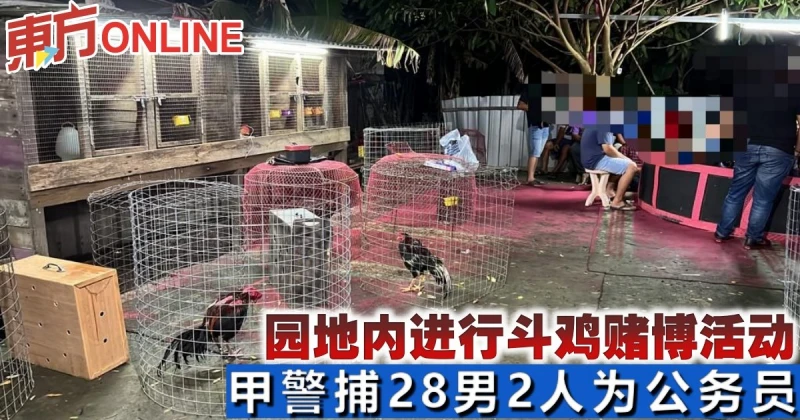 園地內進行鬥雞賭博活動　甲警捕28男2人為公務員