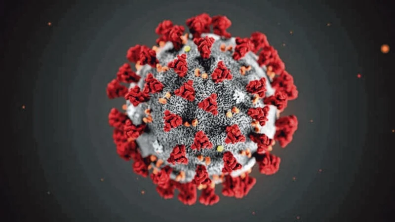 王乙康：群體免疫已不可能實現　但前景並非一片黯淡