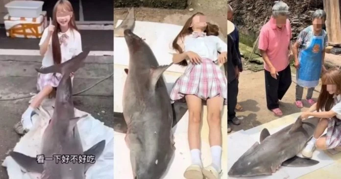 女網紅「烤大白鯊」遭逮捕　 百萬粉絲帳號遭封恐判10年