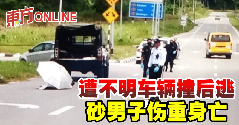 遭不明車輛撞後逃　砂男子傷重身亡　