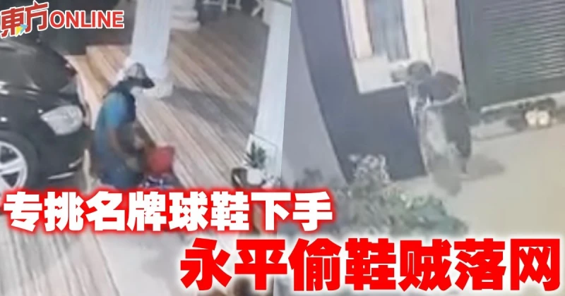 專挑名牌球鞋下手　永平偷鞋賊落網