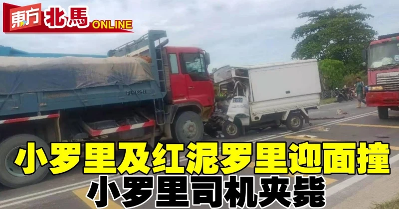 2羅里迎面撞　小羅里司機當場夾斃