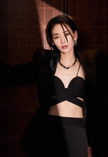 王君馨飾演反派！　甄子丹《喬峰傳》女主角另有其人