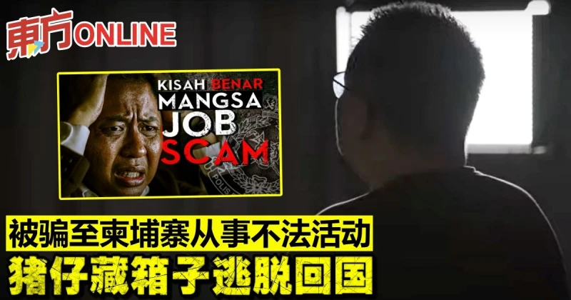 被騙至柬埔寨從事不法活動　豬仔藏箱子逃脫回國