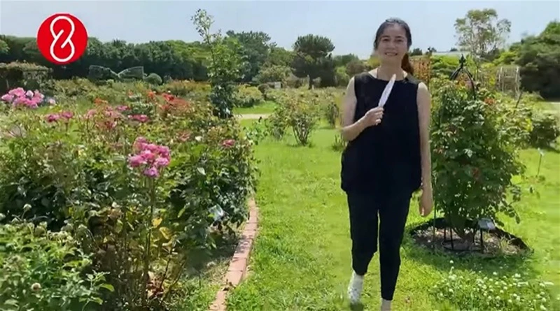 49歲蒙嘉慧被鄭伊健「嫌肥」　疑借生日越洋祝福阿Mo