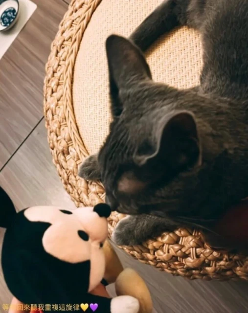 事發後首更新IG　阿Mo女友：等你回來