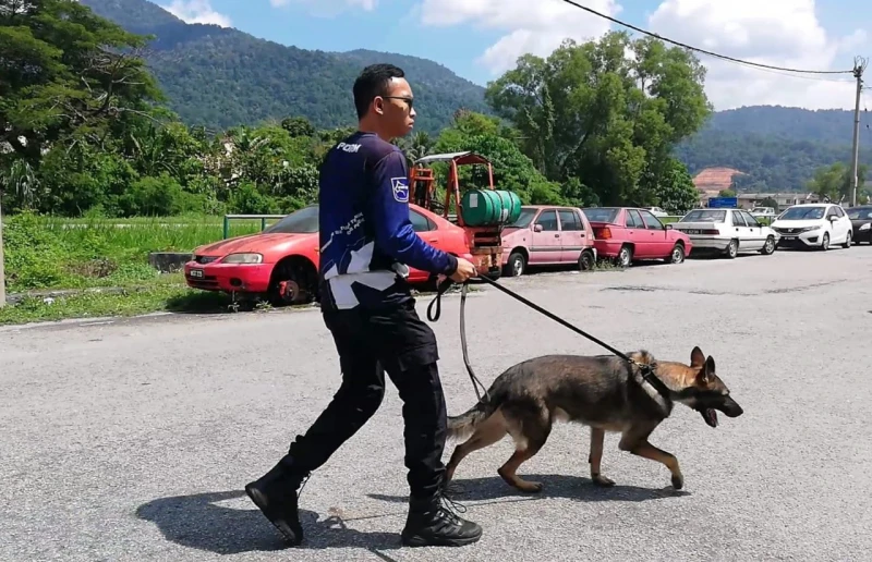 華男伏屍後巷車旁　初步懷疑自刎