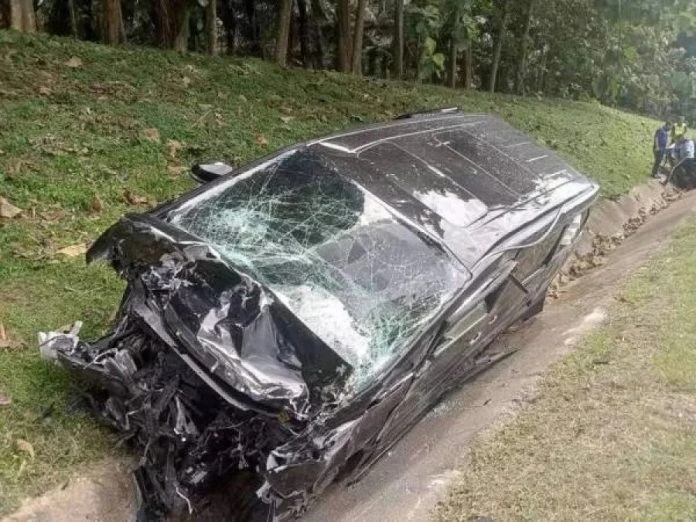 山豬突衝出馬路　轎車閃不及撞路旁司機身亡