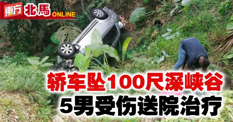 轎車墜100尺深峽谷　5男受傷送院治療