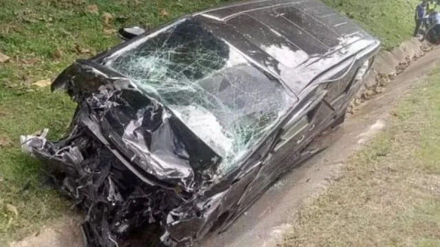 柔佛南北大道山豬突闖馬路 司機閃不及撞路旁身亡