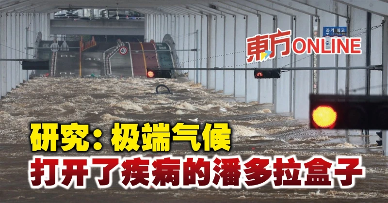 研究：極端氣候打開了疾病的潘多拉盒子　