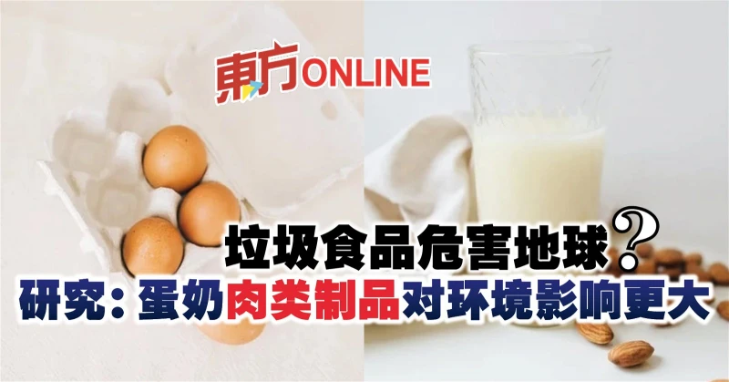 垃圾食品危害地球？　研究：蛋奶肉類製品對環境影響更大