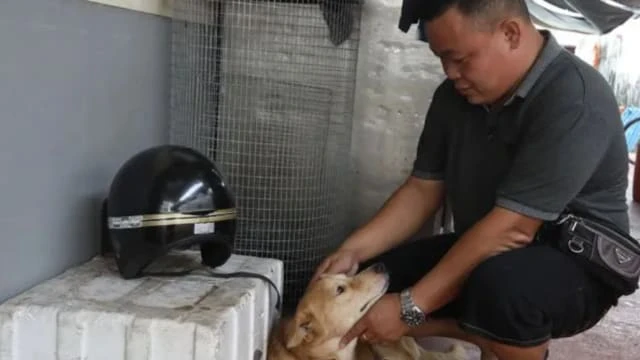 「小狗被吃了」只是氣話 馬國男：狗狗還好好的