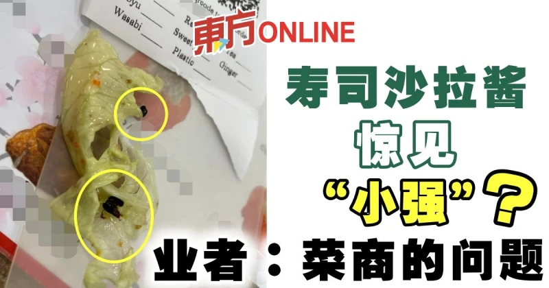 壽司沙拉醬驚見「小強」？　業者：菜商的問題