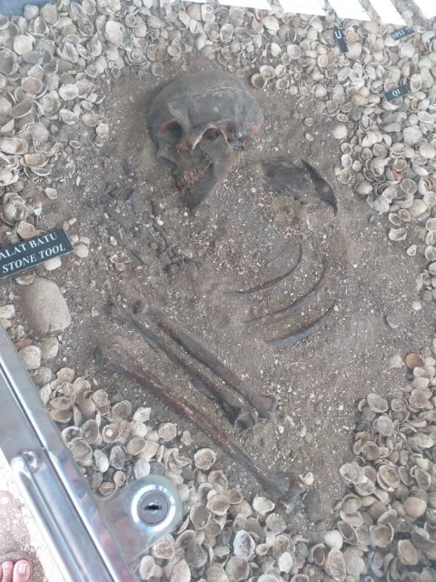 檳城5000年前遠古女性　原來是長這樣