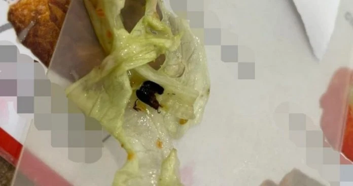 華裔女吃沙拉醬疑驚見「蟑螂」   老闆：這是蟲